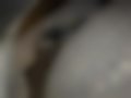 Pictures — Actyon 2.0 Xdi