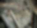 Galeria — 12.185 LC