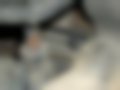 Galeria — 12.185 LC