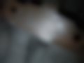 Galeria — 406 2.0 HDi