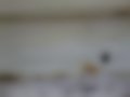 Pictures — 400 2.5D
