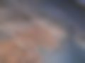 Pictures — SVKT 24