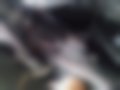 Pictures — VN750A_1