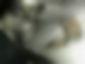 Pictures — VN750A_1