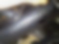 Pictures — ZR400