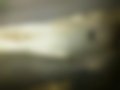 Pictures — 250TD