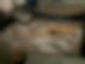 Fotografias — 200-4302
