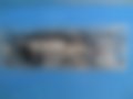Pictures — 130 T 11