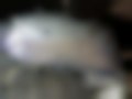 Pictures — 130 T 11