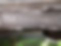 Pictures — PA-HL 3000