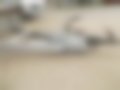 Pictures — PALV 3.5