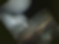 Immagini — A6 2.8