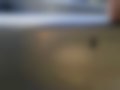 Pictures — TEN 31B4 Alfa