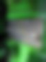 Pictures — MW 2