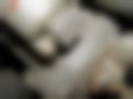 Fotografias — ASX  1.6