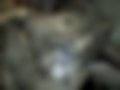 Pictures — Canter 4.9D