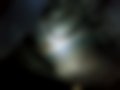 Pictures — Canter 4.9D