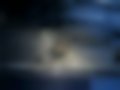 Galeria — G 500 5.0 V8