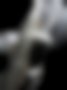 Pictures — Phaeton 3.2 VR6