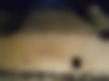Bilder — Jumpy 1.9D