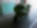 Immagini — ZX 636
