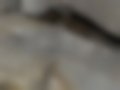 Pictures — E 420