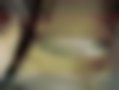 Pictures — ML 320