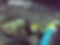 Pictures — Maverick  2.4