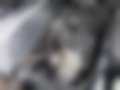 Pictures — ML 270