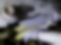 Pictures — Patrol