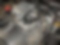 Pictures — Patrol