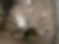 Galeria — Pantheon 150