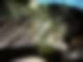 Pictures — Focus 1.5 D
