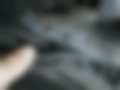Pictures — 316i E90