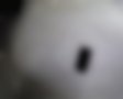 Pictures — Fortwo 0.6