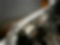 Pictures — Premacy 2.0 DiTD