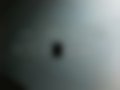 Bilder — C4 1.6 HDiF