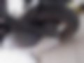 Pictures — SG 06