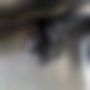 Pictures — Corsa E 1.4