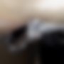 Pictures — Adam 1.4