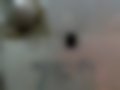 Pictures — U750