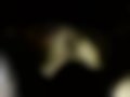 Pictures — Modus 1.4 16V