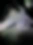 Pictures — B12