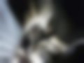 Slike — Focus C-Max 1.8