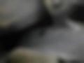 Pictures — Expert 1.6 8V HDi