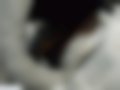 Bilder — Veloster 1.6 T-GDI