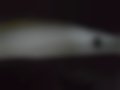 Pictures — 208 1.4 8V HDi