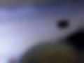 Pictures — 301 1.6 HDi