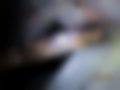 Pictures — 280.06