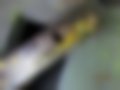 Pictures — 280.06